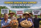Farmers in Ri-Bhoi and West Khasi Hills Demand MSP Support for Areca Nut and Ginger.