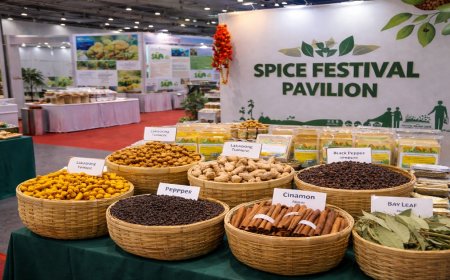 demodemo demodema odemo demod emodemodemo demodemo