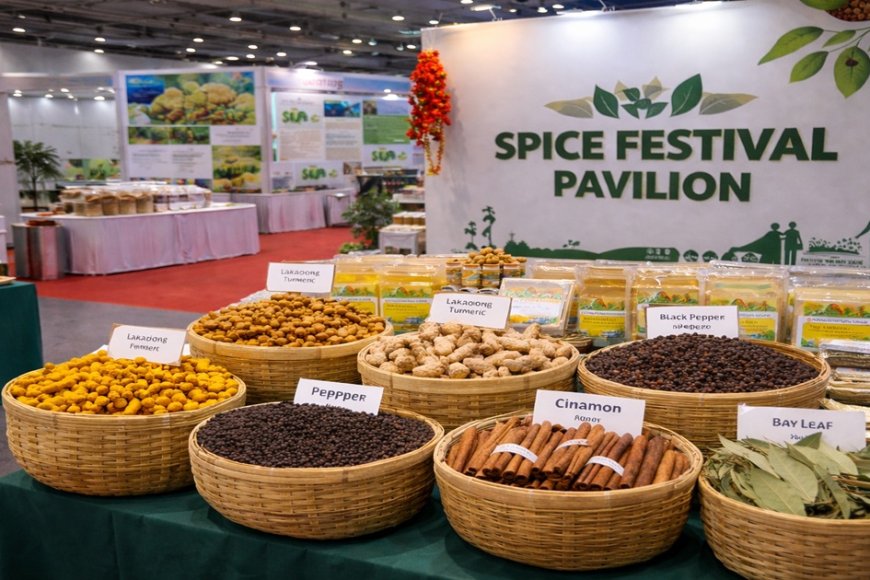 demodemo demodema odemo demod emodemodemo demodemo